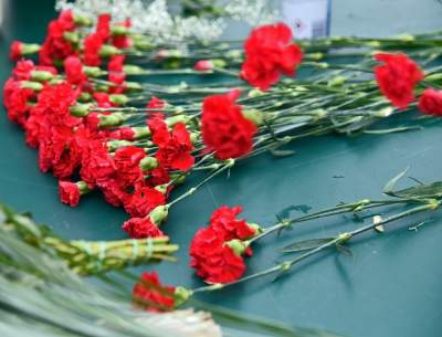 Które kwiaty lubicie najbardziej? Najlepsze życzenia z okazji Dnia Kobiet - zdjęcie 8