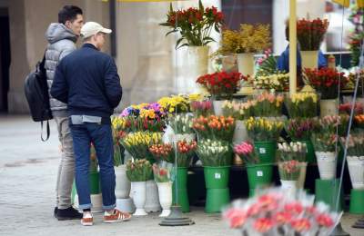 Które kwiaty lubicie najbardziej? Najlepsze życzenia z okazji Dnia Kobiet - zdjęcie 4