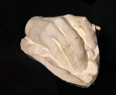 Wystawa „Genius loci” w Domu Jana Matejki, oddziale Muzeum Narodowego - zdjęcie 2