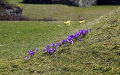 Pierwsze mgnienie wiosny w Krakowie, kto nie poszedł dziś na spacer niech żałuje - zdjęcie 5