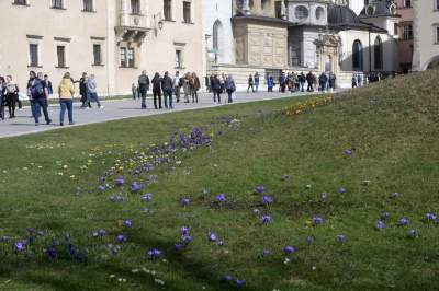 Pierwsze mgnienie wiosny w Krakowie, kto nie poszedł dziś na spacer niech żałuje - zdjęcie 7