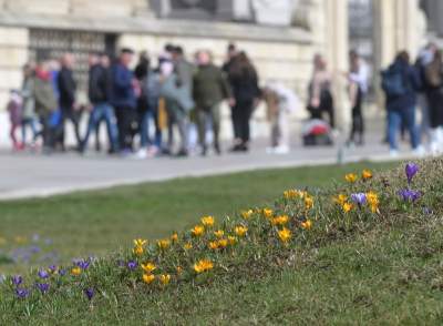 Pierwsze mgnienie wiosny w Krakowie, kto nie poszedł dziś na spacer niech żałuje - zdjęcie 6