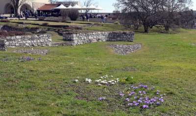 Pierwsze mgnienie wiosny w Krakowie, kto nie poszedł dziś na spacer niech żałuje - zdjęcie 4