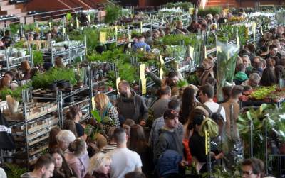 Festiwal roślin w Krakowie, zielone szaleństwo opanowało miasto - zdjęcie 16