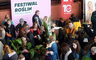 Festiwal roślin w Krakowie, zielone szaleństwo opanowało miasto - zdjęcie 14