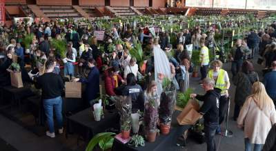 Festiwal roślin w Krakowie, zielone szaleństwo opanowało miasto - zdjęcie 5