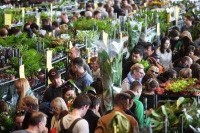 Festiwal roślin w Krakowie, zielone szaleństwo opanowało miasto - zdjęcie 13