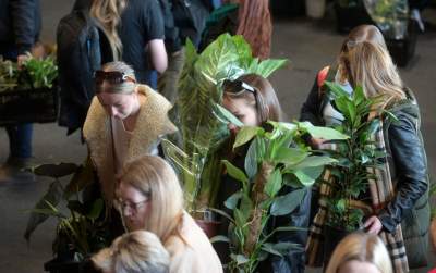 Festiwal roślin w Krakowie, zielone szaleństwo opanowało miasto - zdjęcie 10