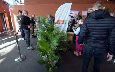 Festiwal roślin w Krakowie, zielone szaleństwo opanowało miasto - zdjęcie 17