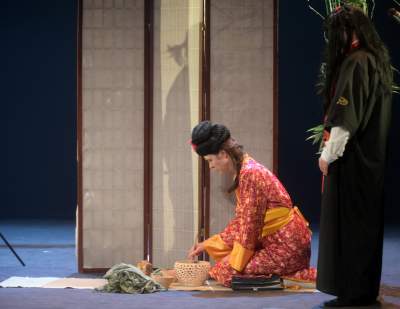 Albertiana w Słowaku. Rola życia Anny Dymnej i osób z niepełnosprawnością intelektualną - zdjęcie 4