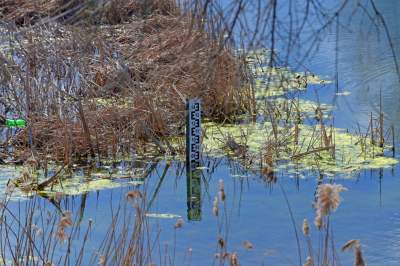 Staw Płaszowski: nowe, piękne miejsce rekreacji - zdjęcie 30