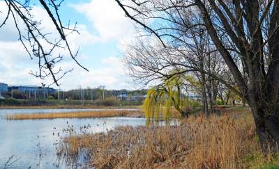 Staw Płaszowski: nowe, piękne miejsce rekreacji - zdjęcie 11