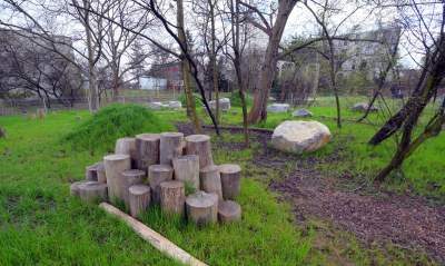 Staw Płaszowski: nowe, piękne miejsce rekreacji - zdjęcie 21