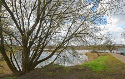 Staw Płaszowski: nowe, piękne miejsce rekreacji - zdjęcie 14