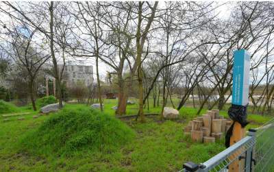 Staw Płaszowski: nowe, piękne miejsce rekreacji - zdjęcie 23