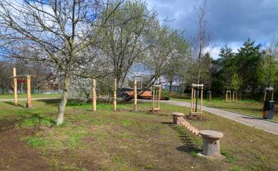 Staw Płaszowski: nowe, piękne miejsce rekreacji - zdjęcie 28