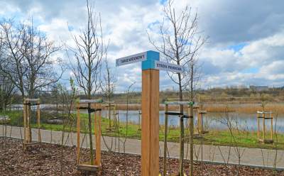 Staw Płaszowski: nowe, piękne miejsce rekreacji - zdjęcie 18