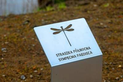 Staw Płaszowski: nowe, piękne miejsce rekreacji - zdjęcie 5