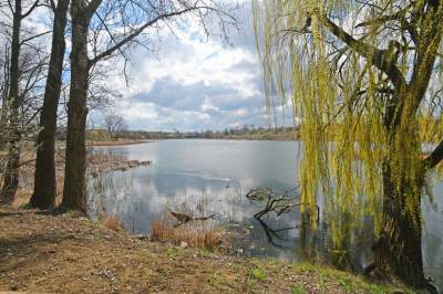 Staw Płaszowski: nowe, piękne miejsce rekreacji - zdjęcie 3
