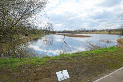 Staw Płaszowski: nowe, piękne miejsce rekreacji - zdjęcie 13