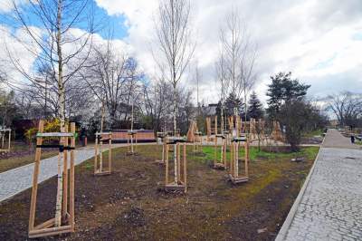 Staw Płaszowski: nowe, piękne miejsce rekreacji - zdjęcie 15