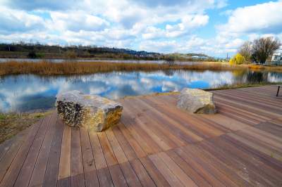 Staw Płaszowski: nowe, piękne miejsce rekreacji - zdjęcie 25