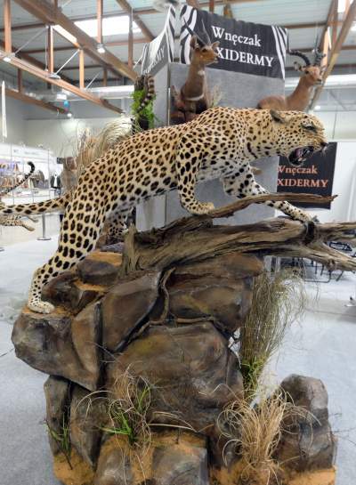 Targi Łowiectwa EXPO HUNT w Krakowie, tak wygląda ekspozycja - zdjęcie 14