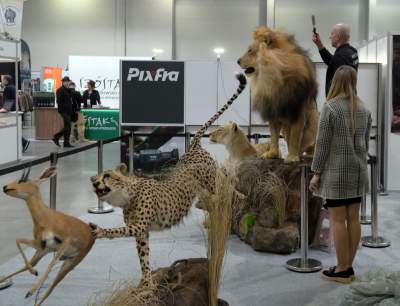 Targi Łowiectwa EXPO HUNT w Krakowie, tak wygląda ekspozycja - zdjęcie 13