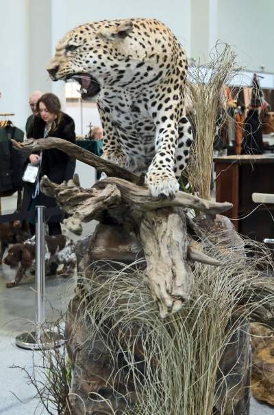 Targi Łowiectwa EXPO HUNT w Krakowie, tak wygląda ekspozycja - zdjęcie 17