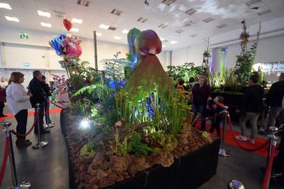 Potworne, mięsożerne rośliny, bajeczne orchidee, fantastyczne bonsai. Tłumy na wystawie - zdjęcie 38