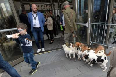 Potworne, mięsożerne rośliny, bajeczne orchidee, fantastyczne bonsai. Tłumy na wystawie - zdjęcie 40
