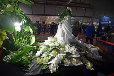 Potworne, mięsożerne rośliny, bajeczne orchidee, fantastyczne bonsai. Tłumy na wystawie - zdjęcie 16