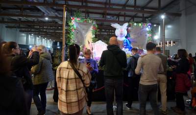 Potworne, mięsożerne rośliny, bajeczne orchidee, fantastyczne bonsai. Tłumy na wystawie - zdjęcie 4