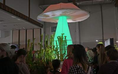 Potworne, mięsożerne rośliny, bajeczne orchidee, fantastyczne bonsai. Tłumy na wystawie - zdjęcie 36