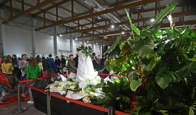 Potworne, mięsożerne rośliny, bajeczne orchidee, fantastyczne bonsai. Tłumy na wystawie - zdjęcie 21