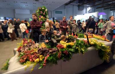 Potworne, mięsożerne rośliny, bajeczne orchidee, fantastyczne bonsai. Tłumy na wystawie - zdjęcie 1