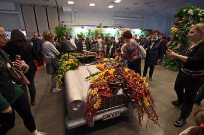 Potworne, mięsożerne rośliny, bajeczne orchidee, fantastyczne bonsai. Tłumy na wystawie - zdjęcie 37