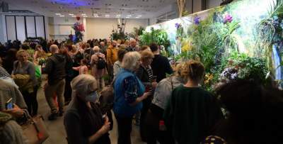 Potworne, mięsożerne rośliny, bajeczne orchidee, fantastyczne bonsai. Tłumy na wystawie - zdjęcie 35