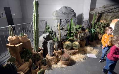 Potworne, mięsożerne rośliny, bajeczne orchidee, fantastyczne bonsai. Tłumy na wystawie - zdjęcie 20