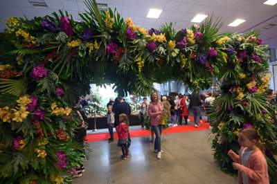 Potworne, mięsożerne rośliny, bajeczne orchidee, fantastyczne bonsai. Tłumy na wystawie - zdjęcie 33