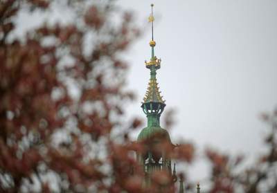 Słynny kasztanowiec pięknie się odradza, wawelskie magnolie cierpią - zdjęcie 15