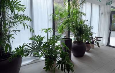 Był tu kościół, urząd celny, wytwórnia pierogów, a dziś... luksusowy hotel - zdjęcie 36