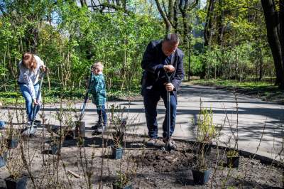 Pięknieje park Jalu Kurka, przybyło trochę nowych roślin - zdjęcie 12