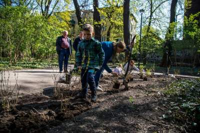 Pięknieje park Jalu Kurka, przybyło trochę nowych roślin - zdjęcie 24