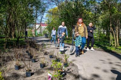 Pięknieje park Jalu Kurka, przybyło trochę nowych roślin - zdjęcie 6