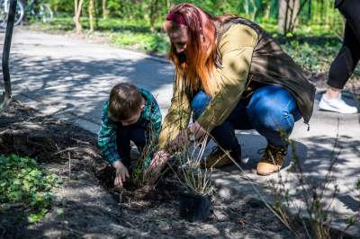 Pięknieje park Jalu Kurka, przybyło trochę nowych roślin - zdjęcie 16