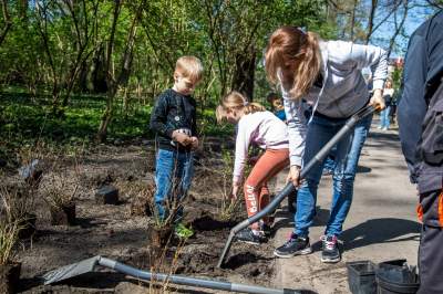 Pięknieje park Jalu Kurka, przybyło trochę nowych roślin - zdjęcie 18