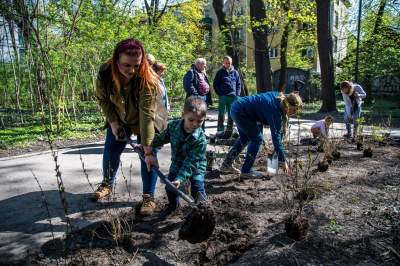 Pięknieje park Jalu Kurka, przybyło trochę nowych roślin - zdjęcie 22