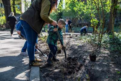 Pięknieje park Jalu Kurka, przybyło trochę nowych roślin - zdjęcie 20
