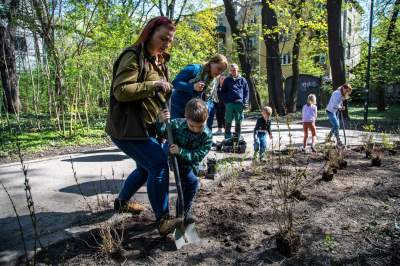 Pięknieje park Jalu Kurka, przybyło trochę nowych roślin - zdjęcie 23
